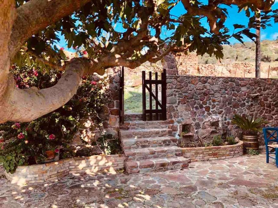Stone Sunset Villa Sfentouri 外观 照片